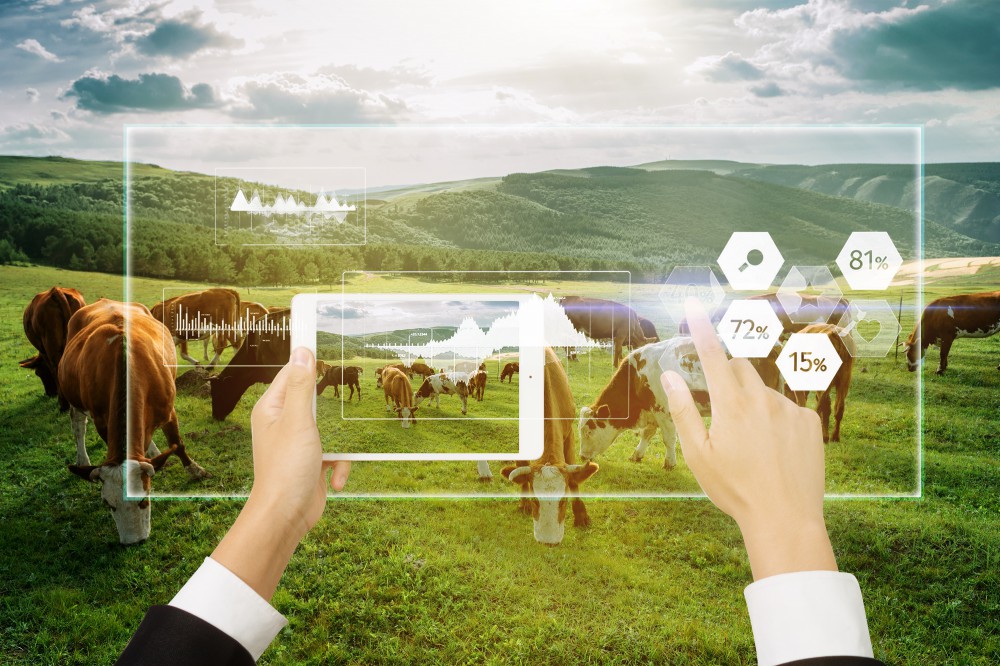 ���ξ���(�й�)�������޹�˾����